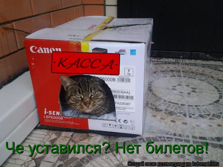 Котоматрица: Че уставился? Нет билетов!