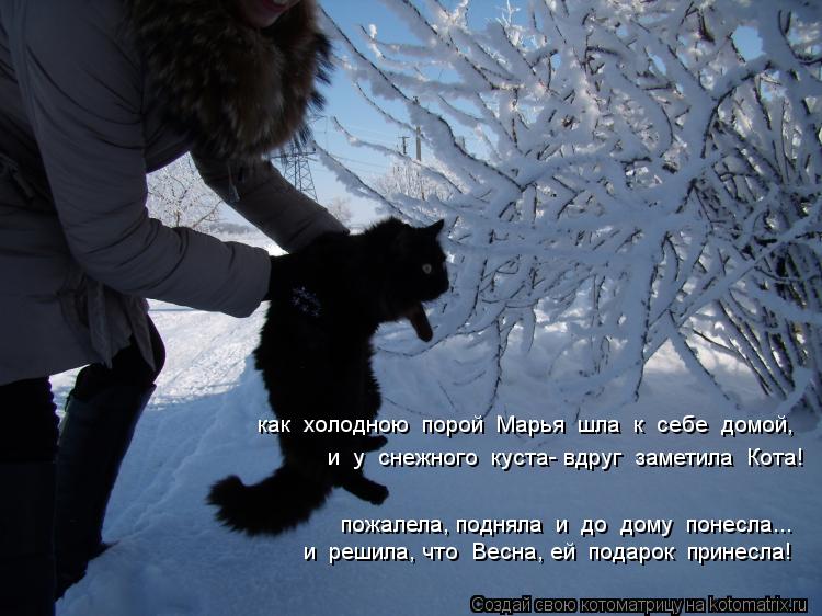 Котоматрица: как  холодною  порой  Марья  шла  к  себе  домой, и  у  снежного  куста- вдруг  заметила  Кота! пожалела, подняла  и  до  дому  понесла... и  решила, 