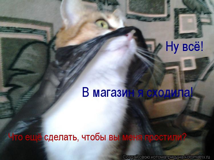 Котоматрица: Ну всё! В магазин я сходила! Что ещё сделать, чтобы вы меня простили?