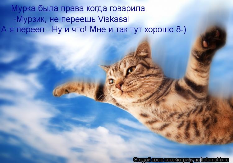 Котоматрица: Мурка была права когда говарила -Мурзик, не переешь Viskasа! А я переел...Ну и что! Мне и так тут хорошо 8-)