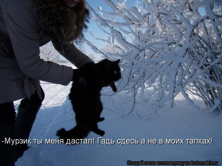 Котоматрица: -Мурзик ты меня дастал! Гадь сдесь а не в моих тапках!