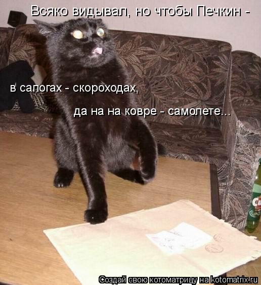 Котоматрица: в сапогах - скороходах,  да на на ковре - самолете... да на на ковре - самолете... Всяко видывал, но чтобы Печкин -
