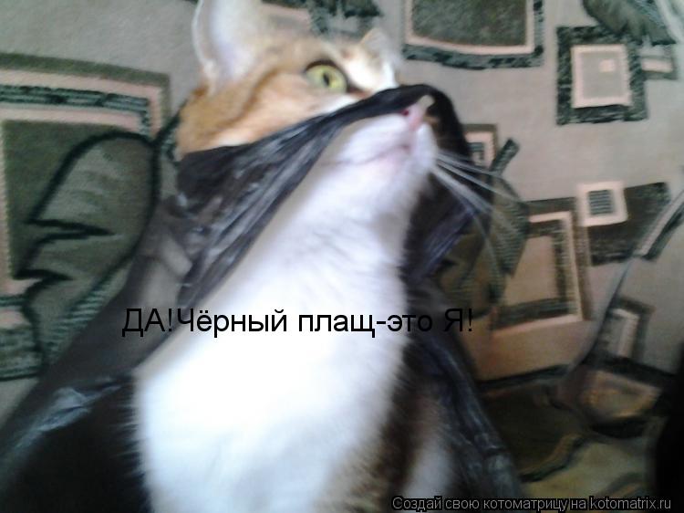 Котоматрица: ДА!Чёрный плащ-это Я!
