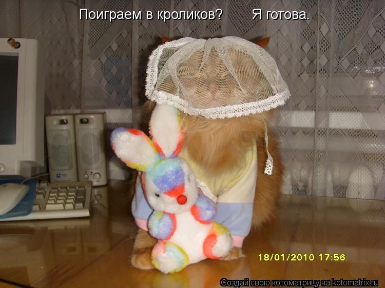 Котоматрица: Поиграем в кроликов?       Я готова.