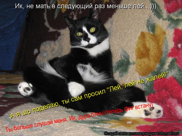 Котоматрица: Ик, не мать в следующий раз меньше лей...))) А я шо поделаю, ты сам просил "Лей, лей не жалей!" Ты больше слушай меня. Ик, дура блин (теперь фиг вста