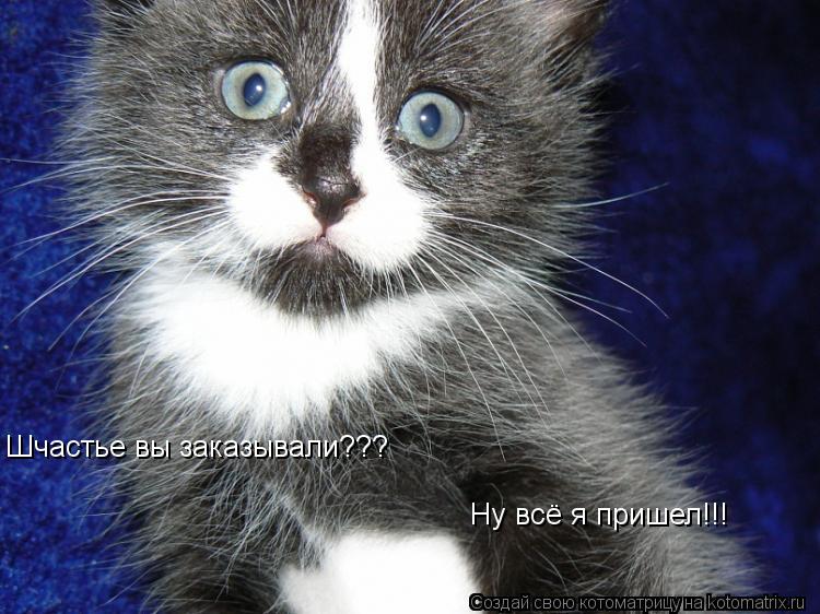 Котоматрица: Шчастье вы заказывали??? Ну всё я пришел!!!