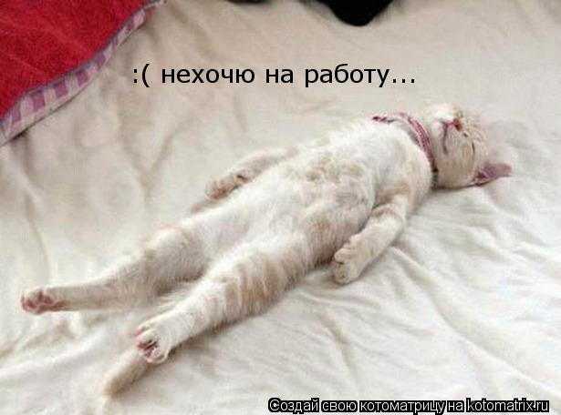 Котоматрица: :( нехочю на работу...