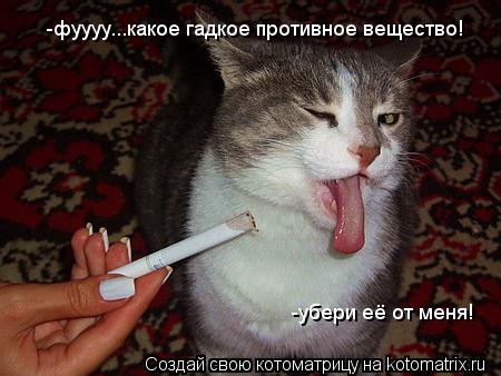 -фуууу...какое гадкое противное вещество! -убери её от меня!... Котоматрица: -фуууу...какое гадкое противное вещество! -убери её от меня!