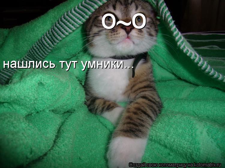 o o ~ нашлись тут умники...... Котоматрица: o o ~ нашлись тут умники...