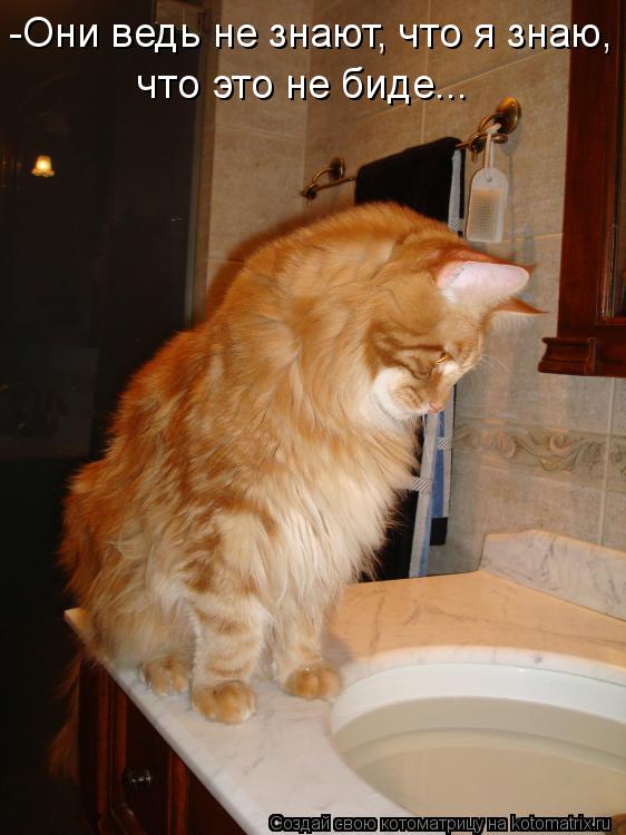 -Они ведь не знают, что я знаю, что это не биде...... Котоматрица: -Они ведь не знают, что я знаю, что это не биде...