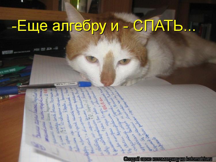 -Еще алгебру и - СПАТЬ...... Котоматрица: -Еще алгебру и - СПАТЬ...