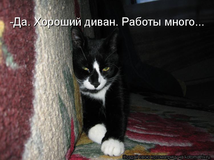 -Да. Хороший диван. Работы много...... Котоматрица: -Да. Хороший диван. Работы много...