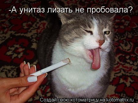 -А унитаз лизать не пробовала?... Котоматрица: -А унитаз лизать не пробовала?