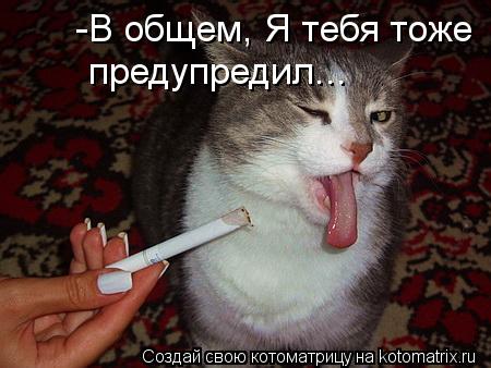 Котоматрица: -В общем, Я тебя тоже  предупредил...