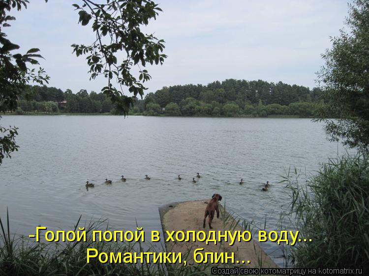 -Голой попой в холодную воду... Романтики, блин...... Котоматрица: -Голой попой в холодную воду... Романтики, блин...