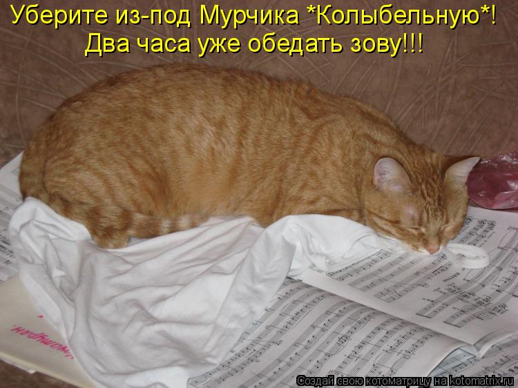Котоматрица: Уберите из-под Мурчика *Колыбельную*! Два часа уже обедать зову!!!
