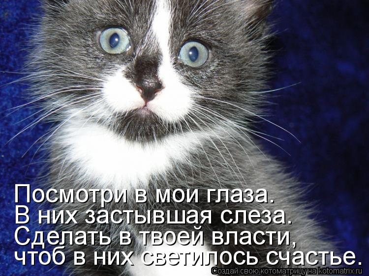 чтоб в них светилось счастье. Сделать в твоей власти, В них застывшая слеза. Посмотри в мои глаза.... Котоматрица: чтоб в них светилось счастье. Сделать в твоей власти, В них застывшая слеза. Посмотри в мои глаза.