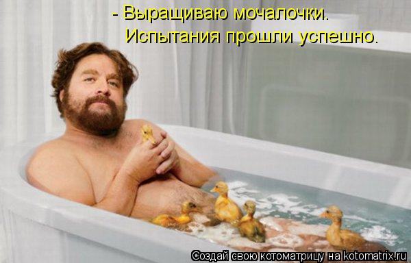 Котоматрица: - Выращиваю мочалочки. Испытания прошли успешно.