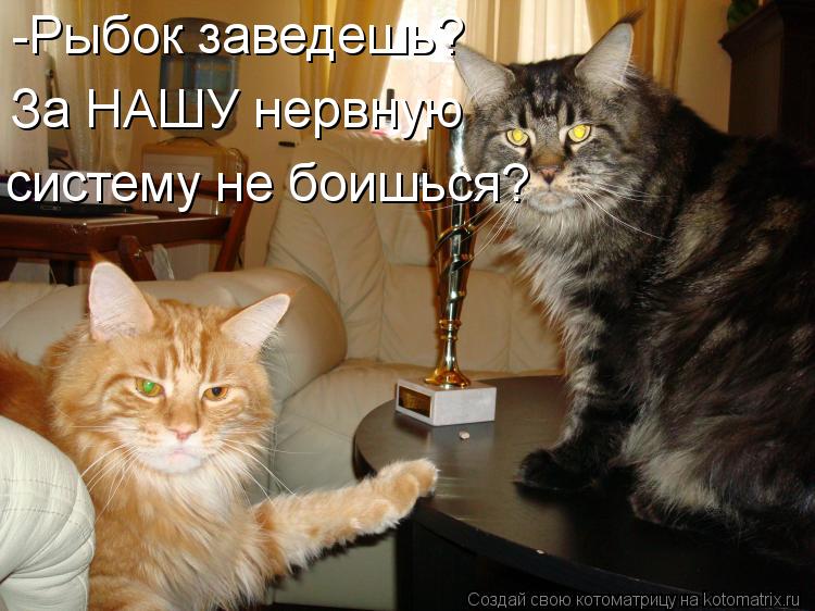 -Рыбок заведешь? систему не боишься? За НАШУ нервную... Котоматрица: -Рыбок заведешь? систему не боишься? За НАШУ нервную