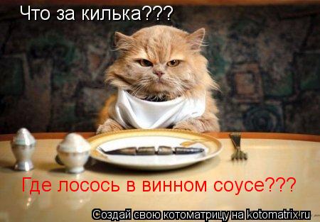 Котоматрица: Что за килька??? Где лосось в винном соусе???