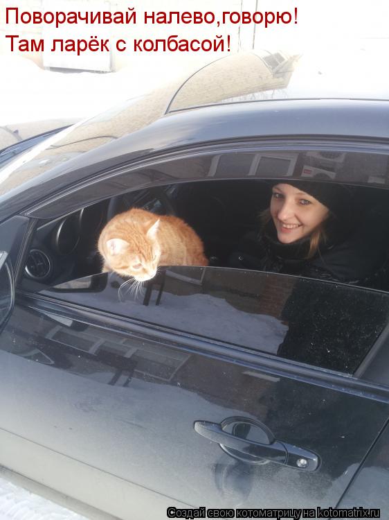 Поворачивай налево,говорю! Там ларёк с колбасой!... Котоматрица: Поворачивай налево,говорю! Там ларёк с колбасой!