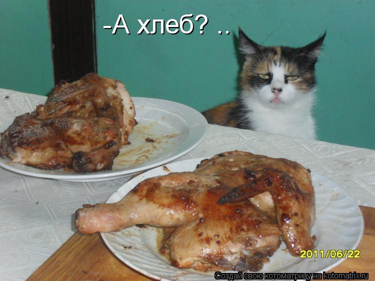 -А хлеб? ..... Котоматрица: -А хлеб? ..