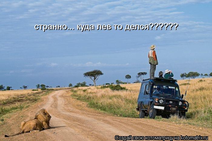 странно... куда лев то делся??????... Котоматрица: странно... куда лев то делся??????