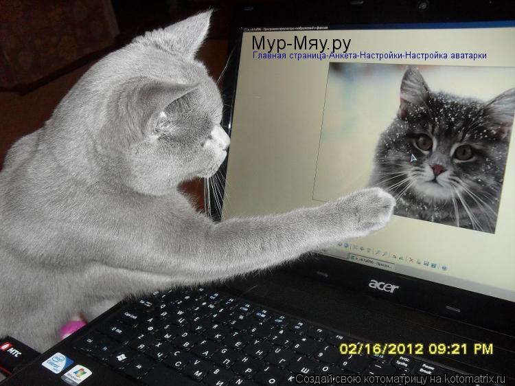 Мур-Мяу.ру Главная страница-Анкета-Настройки-Настройка аватарки... Котоматрица: Мур-Мяу.ру Главная страница-Анкета-Настройки-Настройка аватарки