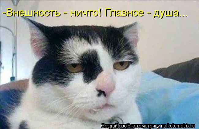 -Внешность - ничто! Главное - душа...... Котоматрица: -Внешность - ничто! Главное - душа...