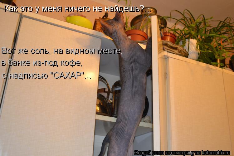 Как это у меня ничего не найдешь?... Вот же соль, на видном месте, в банке из-под кофе, с надписью "С... Котоматрица: Как это у меня ничего не найдешь?... Вот же соль, на видном месте, в банке из-под кофе, с надписью "САХАР"...