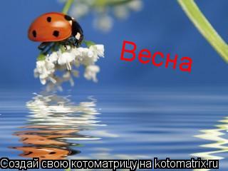 Весна... Котоматрица: Весна