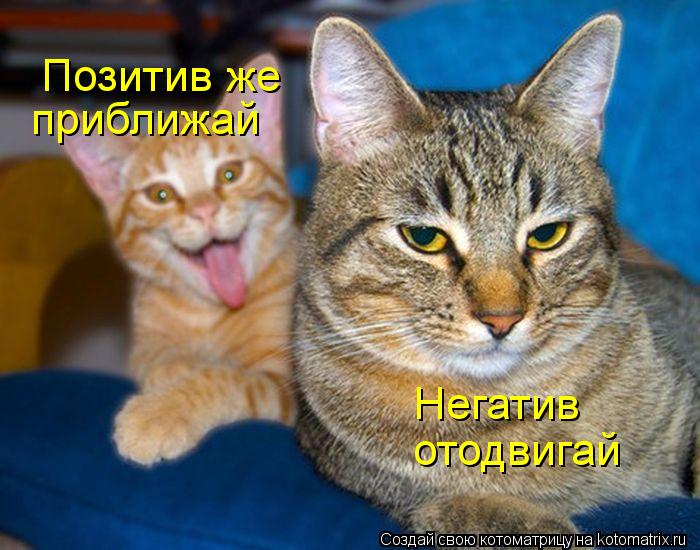 Негатив отодвигай Позитив же приближай... Котоматрица: Негатив отодвигай Позитив же приближай