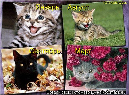 Котоматрица: Январь.   Август. Сентябрь.      Март. Котокалендарь