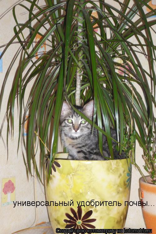 универсальный удобритель почвы...... Котоматрица: универсальный удобритель почвы...