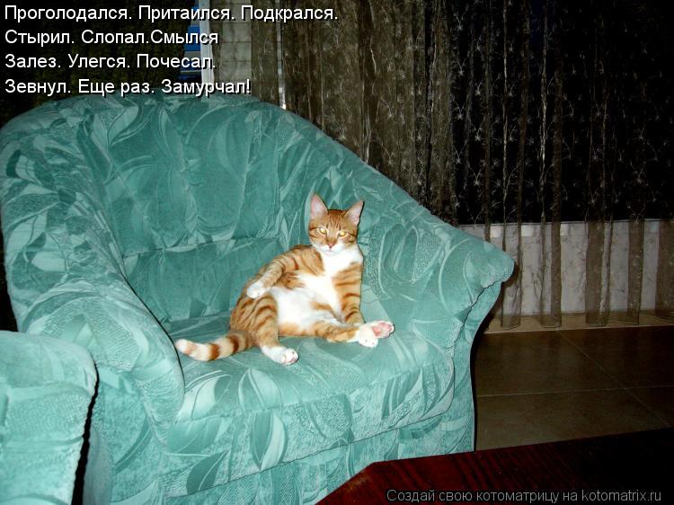 Котоматрица: Проголодался. Притаился. Подкрался. Стырил. Слопал.Смылся Залез. Улегся. Почесал. Зевнул. Еще раз. Замурчал!