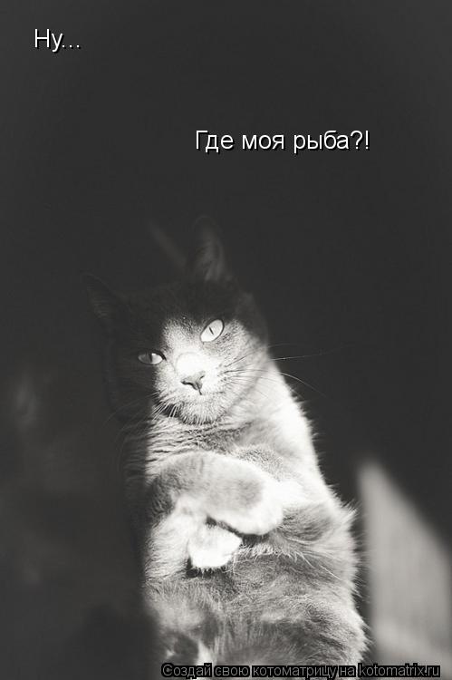 Ну... Где моя рыба?!... Котоматрица: Ну... Где моя рыба?!