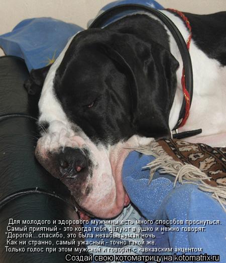 Для молодого и здорового мужчины есть много способов проснуться. Самый приятный - это когда тебя целу... Котоматрица: Для молодого и здорового мужчины есть много способов проснуться. Самый приятный - это когда тебя целуют в ушко и нежно говорят: "Дорогой...сп