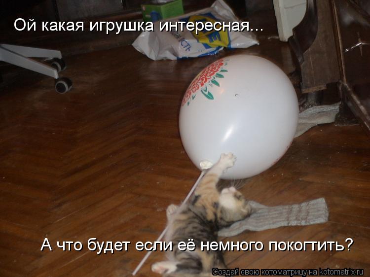 Ой какая игрушка интересная... А что будет если её немного покогтить?... Котоматрица: Ой какая игрушка интересная... А что будет если её немного покогтить?