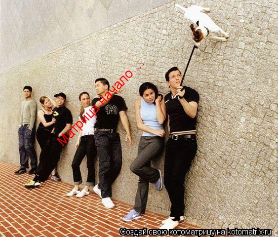 Матрица начало ...... Котоматрица: Матрица начало ...