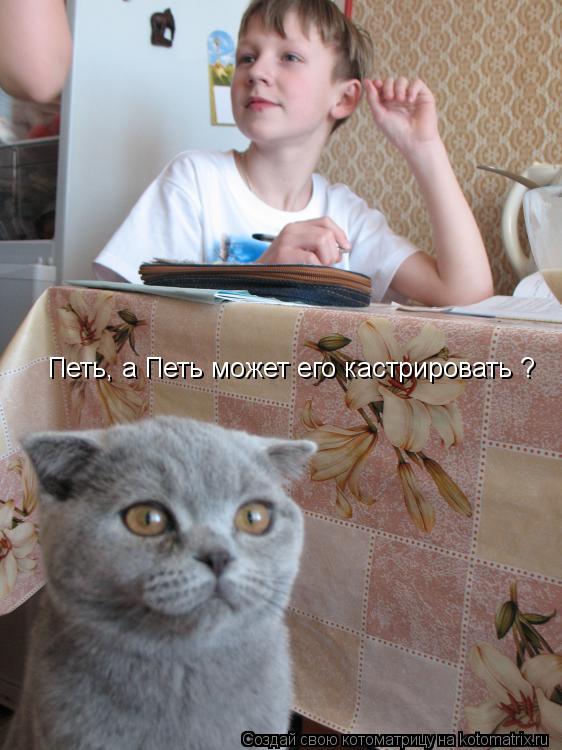 Петь, а Петь может его кастрировать ?... Котоматрица: Петь, а Петь может его кастрировать ?