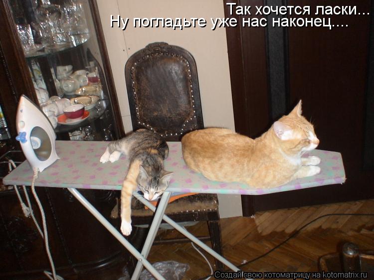 Ну погладьте уже нас наконец.... Так хочется ласки...... Котоматрица: Ну погладьте уже нас наконец.... Так хочется ласки...