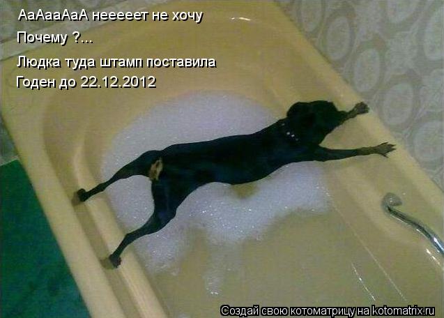 АаАааАаА нееееет нехочу АаАааАаА нееееет не хочу Почему ?... Людка туда штамп поставила Годен до 2... Котоматрица: АаАааАаА нееееет нехочу АаАааАаА нееееет не хочу Почему ?... Людка туда штамп поставила Годен до 22.12.2012