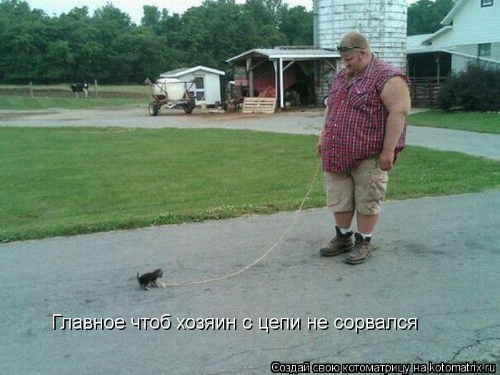 Котоматрица: Главное чтоб хозяин с цепи не сорвался