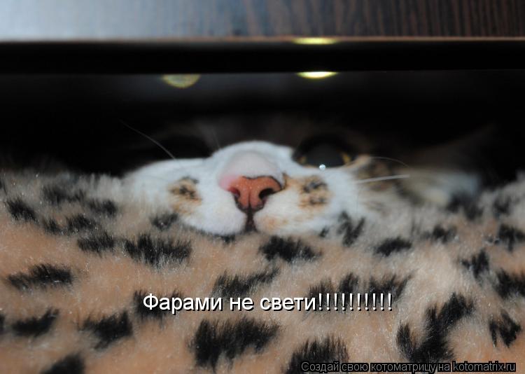 Котоматрица: Фарами не свети!!!!!!!!!!
