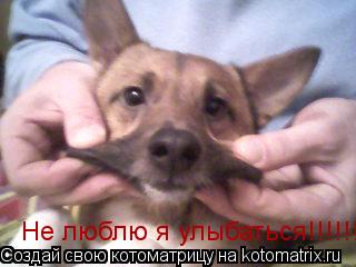 Котоматрица: Не люблю я улыбаться!!!!!!