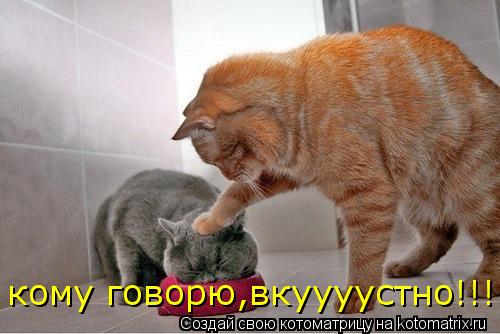 Котоматрица: кому говорю,вкуууустно!!!