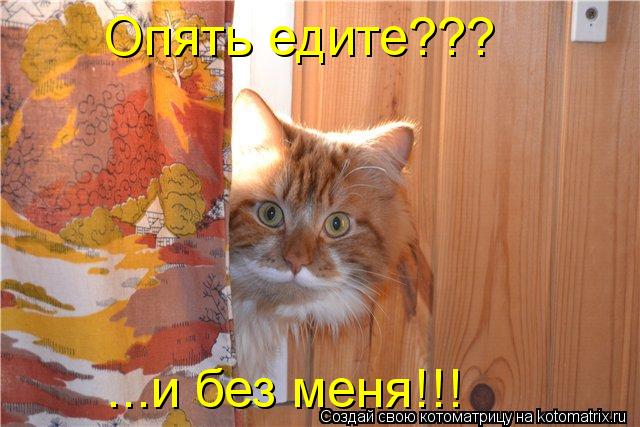 Котоматрица: Опять едите??? ...и без меня!!!