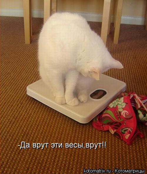 Котоматрица: -Да врут эти весы,врут!!