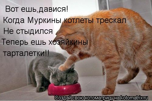 Котоматрица: Вот ешь,давися! Когда Муркины котлеты трескал Не стыдился Теперь ешь хозяйкины тарталетки!!