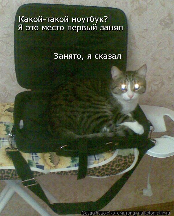 Котоматрица: Какой-такой ноутбук? Я это место первый занял Занято, я сказал